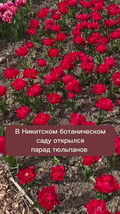 ����� � ��������� ������������ ����