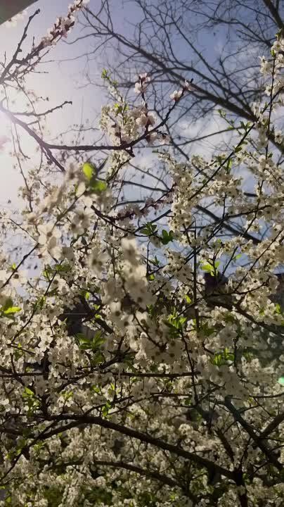 ������ ���������: � ������ ���� � ����������� ��� ������ � ���� ����� �������� �����