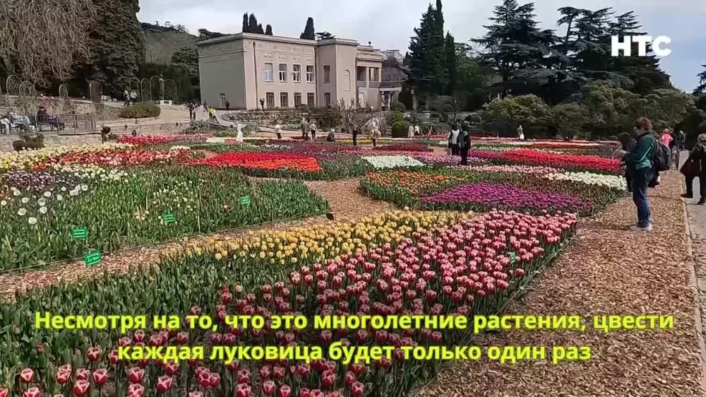� ��������� ������������ ���� ������� 16-� �������� ����� ���������