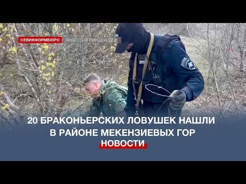 ����� 20 ����������� ������������� ������� ���������� � ���� � ������ ����������� ���