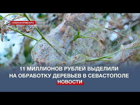 11 ��������� ������ �������� �� ��������� �� ���������� �������� � �����������