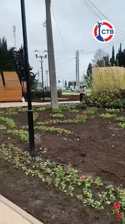 ����������, ��� ��������� ����� ������������ ������� � ����������� ������ � � ������ ���� ������������� ������ ���������� �� ����������� ������