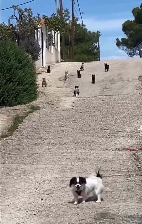 ��� ���������, ����� ������ ��� ����������, ��� ���� ��� �� ���� �����