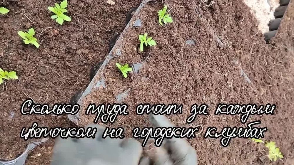 ������� ������: ������, ������ ����!. ���� ��������������� ���������� ������ � ������� ����� ������� ��� 8-� ���������...