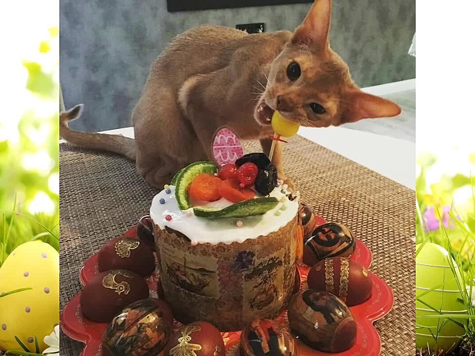 ���� ������ ��� ����� ��������� � �����
