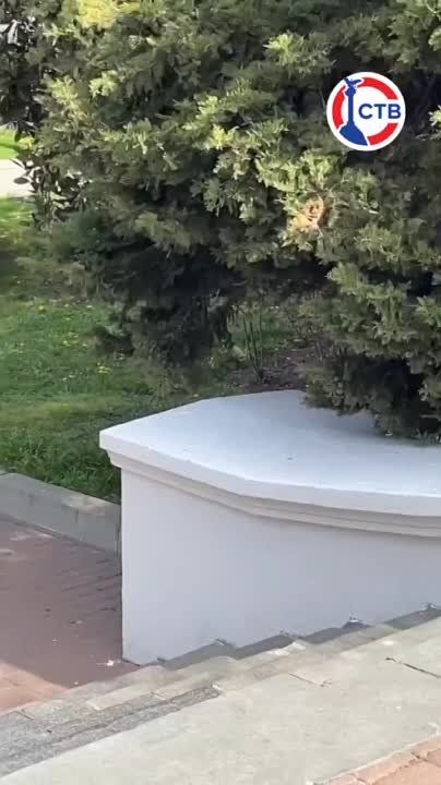 ��� �� �������, �� ���� �������� ��� �������� ����?