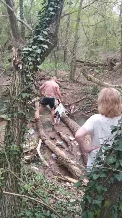 ������� ����. � ����������� ���������� � ��������� ������ ���� ������
