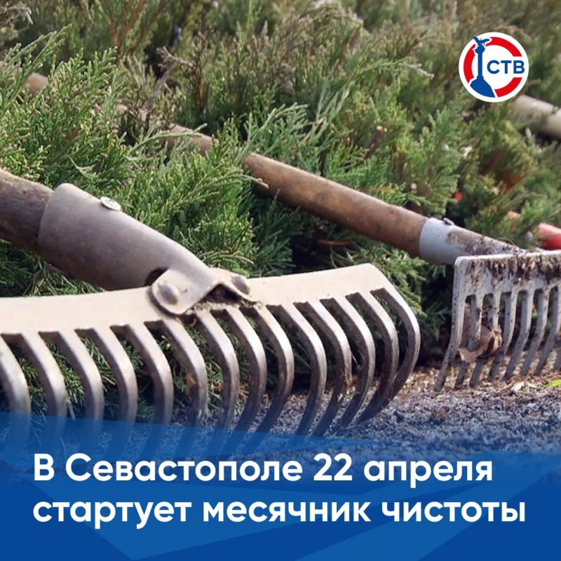 � 22 ������ �� 22 ��� � ��������� ������, �������, ������������ ������ ������� ����������