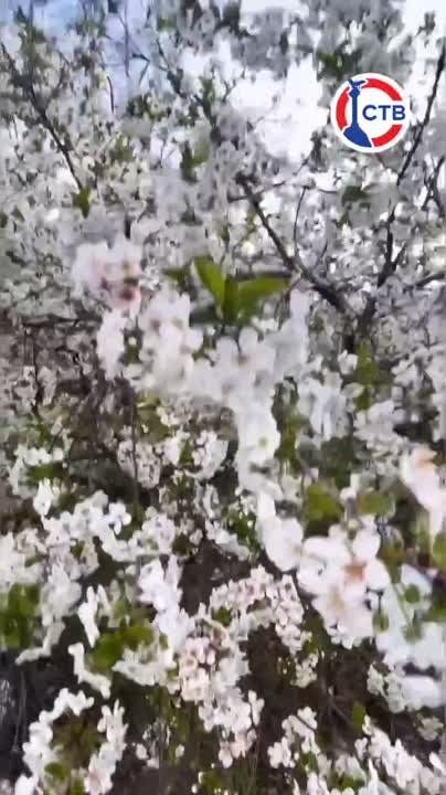 ���������� ���� ���� � ������ ������ ������ � �������� ����������� � ������������� ��������