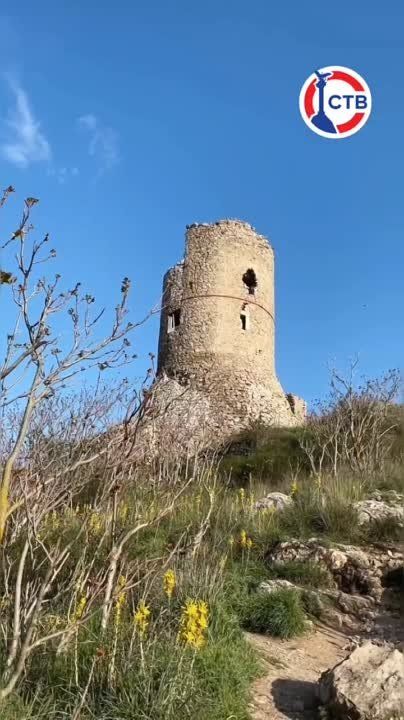 79 ��� ����� ��������� ���������� �� �������-���������� ����������� � ��������� ���� ���� ����� ������� ������ ����� ������� � �����