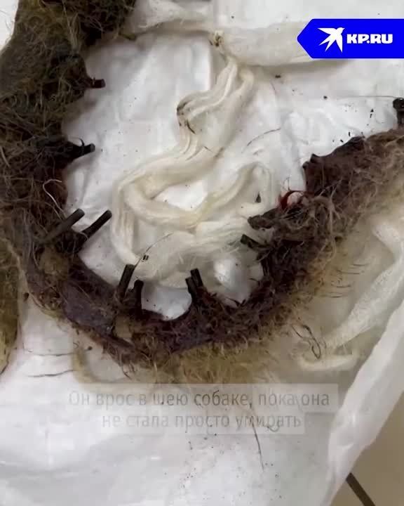 ������� ����. � ����������� ������ ����������� ��� � �������� �������� � ������