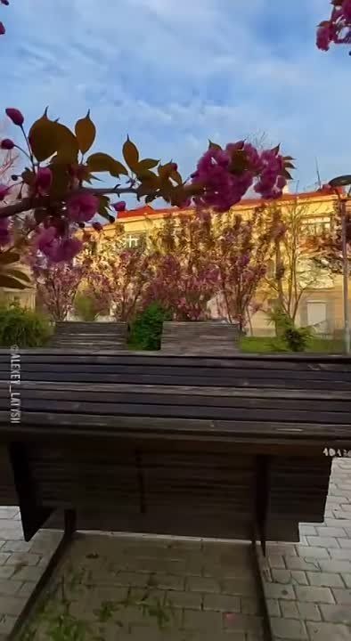 ������ � ����� ���� �� ������ �� ����� ������