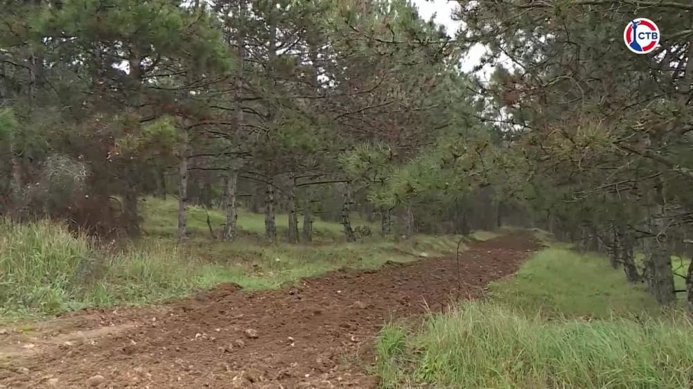 � ��������������� ����� �������� ��������������� �����������