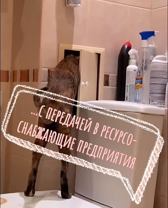 ��� � ������� ����� �����, � ������ ��� - �������������� ����������� ��� ���� ������� ������ ������������ ������� �������� �����