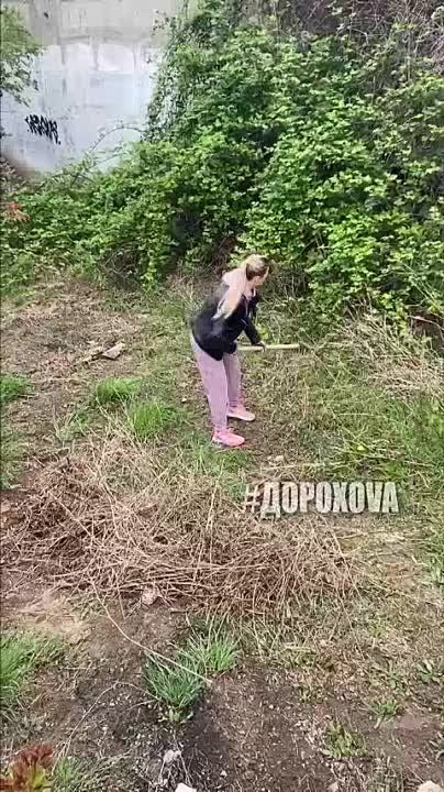 ��������� ��������: ������� ������� ������� � ������������� ���������� � ������ ��������� �������