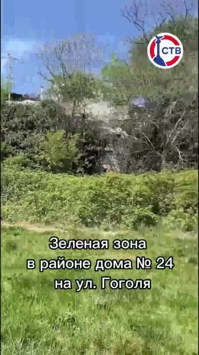 ������������ ������������ ���������� ������ ����� ���� ������������� � 2024 ����