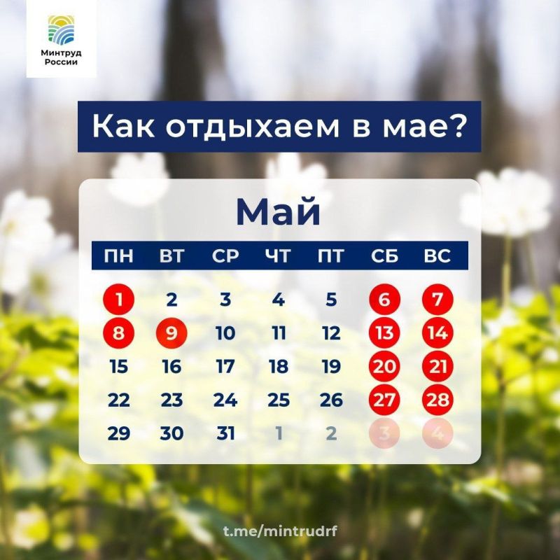 ��� ����� �������� � ���, ��������� �������