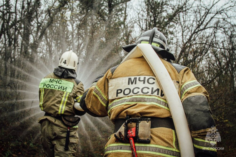 ������ ������������� ��������� � ������ � ������: