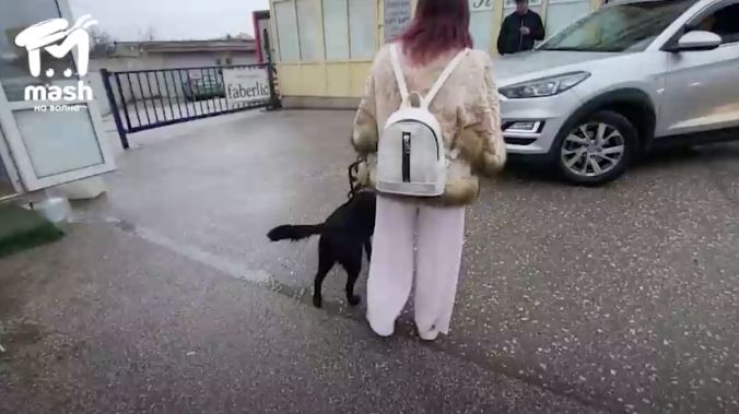 ������������� �������-�������� �������� �������