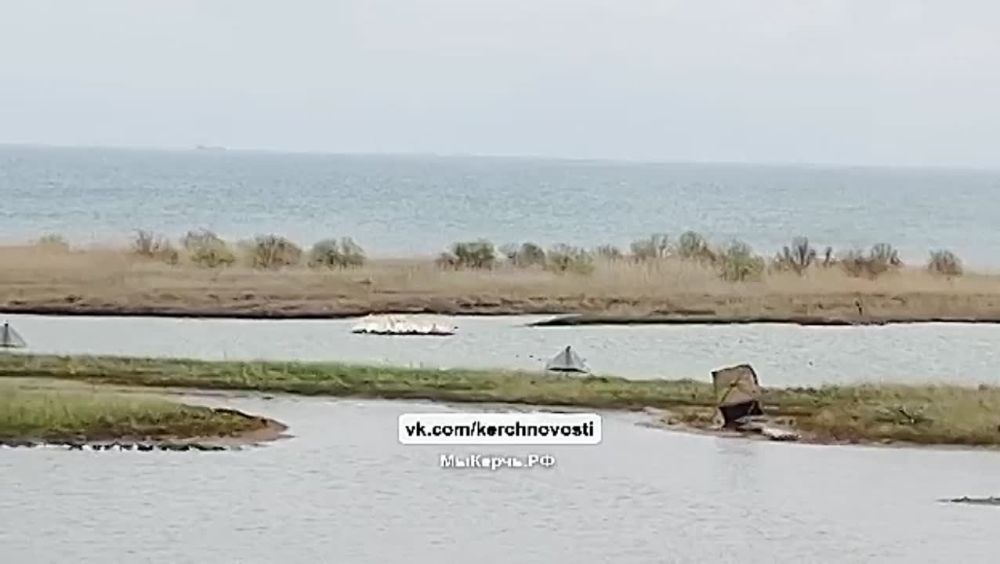 ������� �������� ���������� �������� ������ ����� � ��������� �����