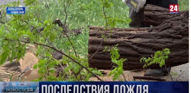 � ������ ����������� ����� ������