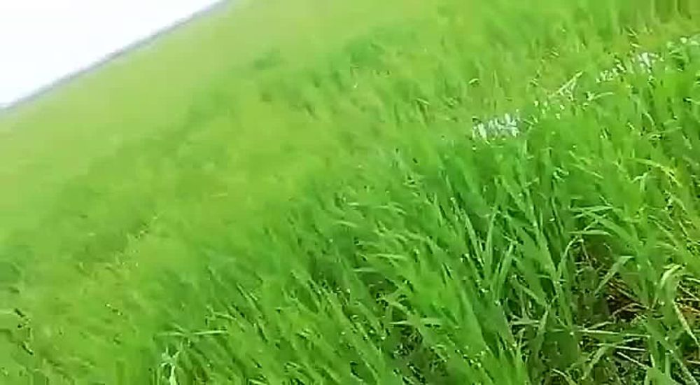 � ����� �� ����������� � ���� ���� ������������� ��������� �������������, ���� �� ��� ��� ���� ���, ��� ���� �������� ���������� ���. �� ���� ������� ����� ����� ������ ������