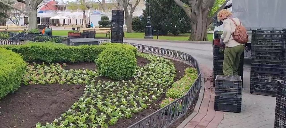 � ������� ������ �� ��������: ������� ����� �������� �����, ���� ������� ��� ��� ����, �� ������ ������ ��������� ����