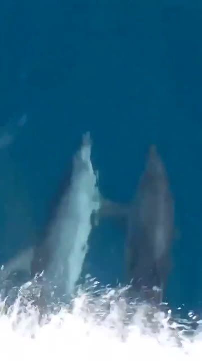 ������� ����� �������. ������� ������������� ��� � �����:)