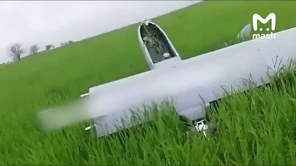 ����� �� �����������, ��������������, ������������ � ������� ��������� ������������ ������ Mugin-5