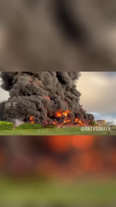 ����� ���. ����������� ������� �� ����������