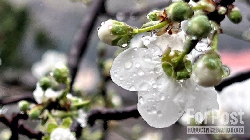 ��� � ����������� ������� � ��������� ������