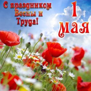 � ���������� ����� � �����!
