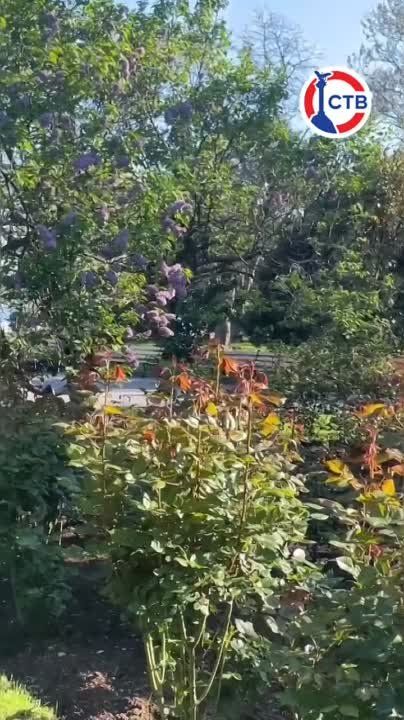 ������ ������ ���������� ������ � ����������� ������� ��������� ������