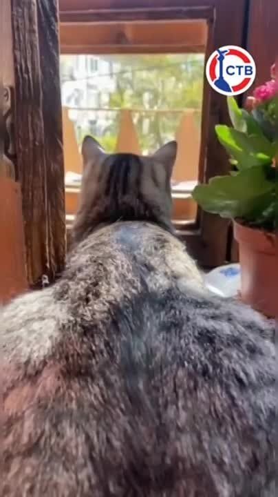 � ������ ������ ���������� ������ ������ ������