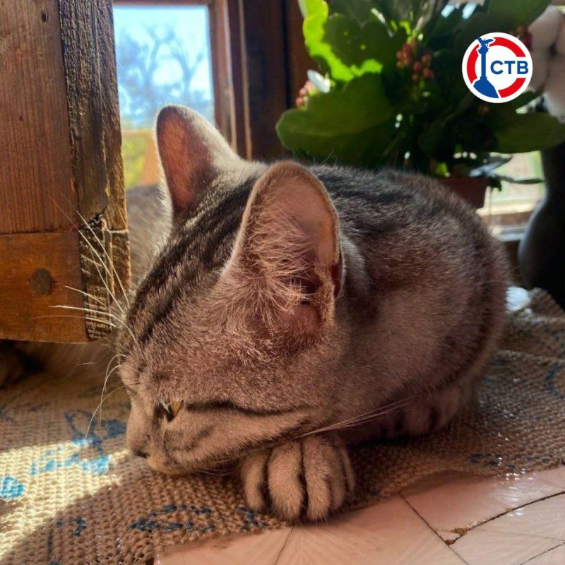 ����� ��������� ������: