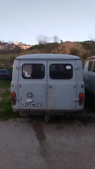 �������� ����������� �������� �� �����������: