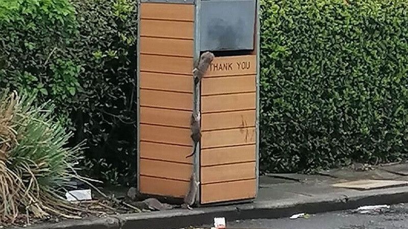 ������ � �������� ��������� �������� ���������