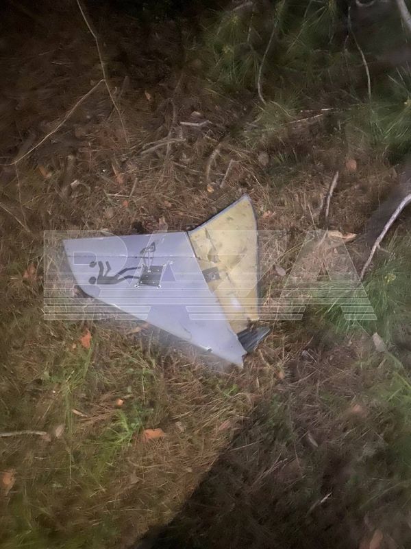 ������ ��������: �������� ��������� ����� ���� �� �����������!