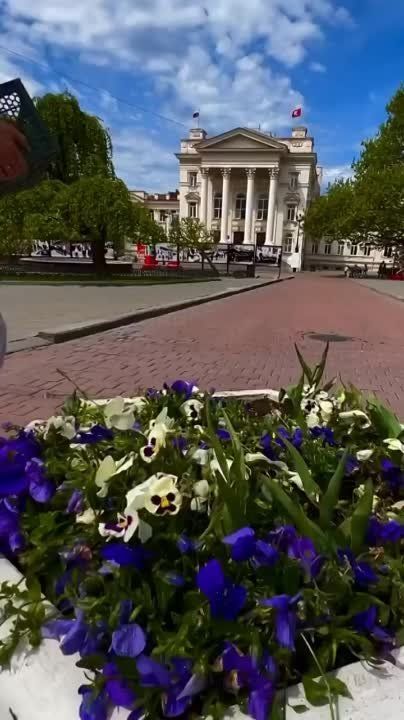 � ������ �����!. ������� ��������, �� ���������� ������