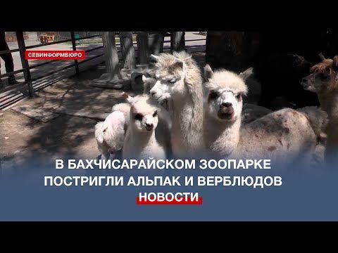 � �������������� ����� �������� ��������� ������ � ��������� � ����