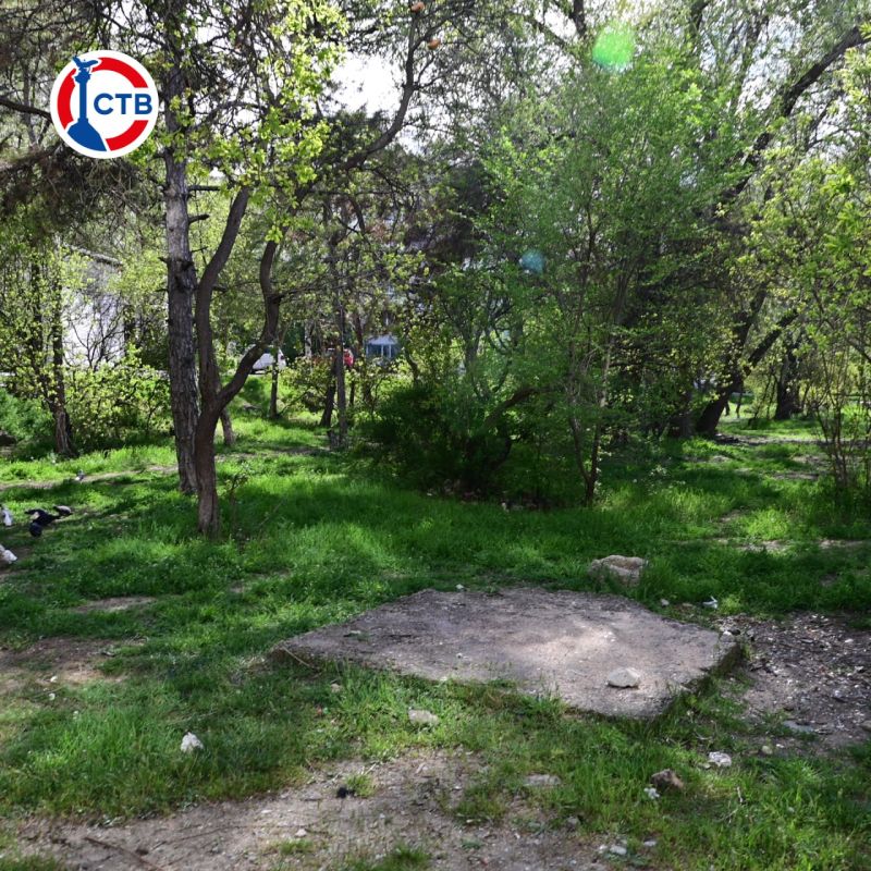 ������ ����������� �� 31 ��� ����� ������ ���� ����� �� ������������ ����������, ������� ������������ � 2024 ����