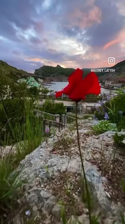 � ��������� ��������� ������ ����, ����� �������� �������� ������, � ������� ������������ ���������� �� ������ � ������