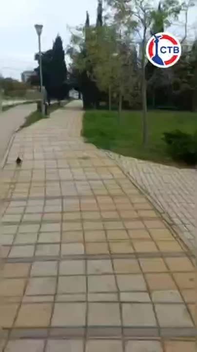 �������� � ���������� ������ ����� �������, ������, �������� � ����������
