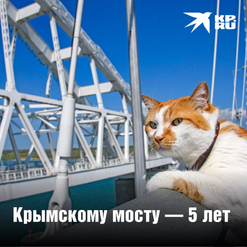��������� ����� � 5 ���: ���������� ����� ������� ����