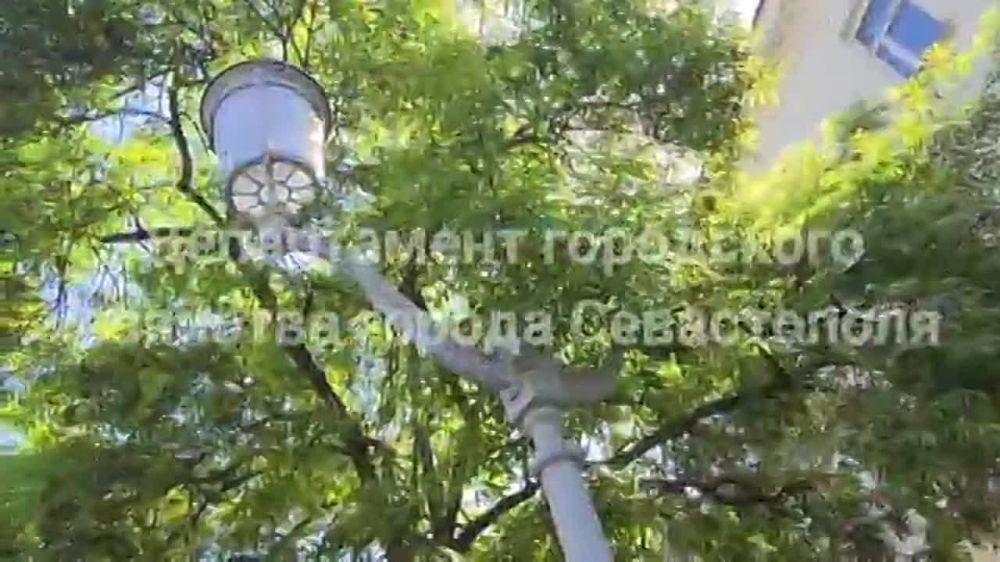 ������ ����� � 2020 ���� ���������� ������� ������� ������ ������� � ������ ����������� ������ ������� � ��������� ���������