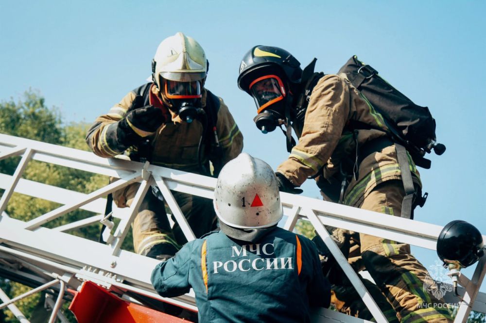 ������ ������������� ��������� � ������ � ������: