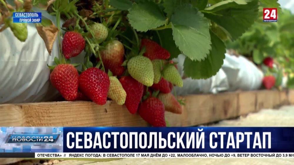 � 2023-� �� ��������� ������������ � ����������� �������� 4 �������� ������