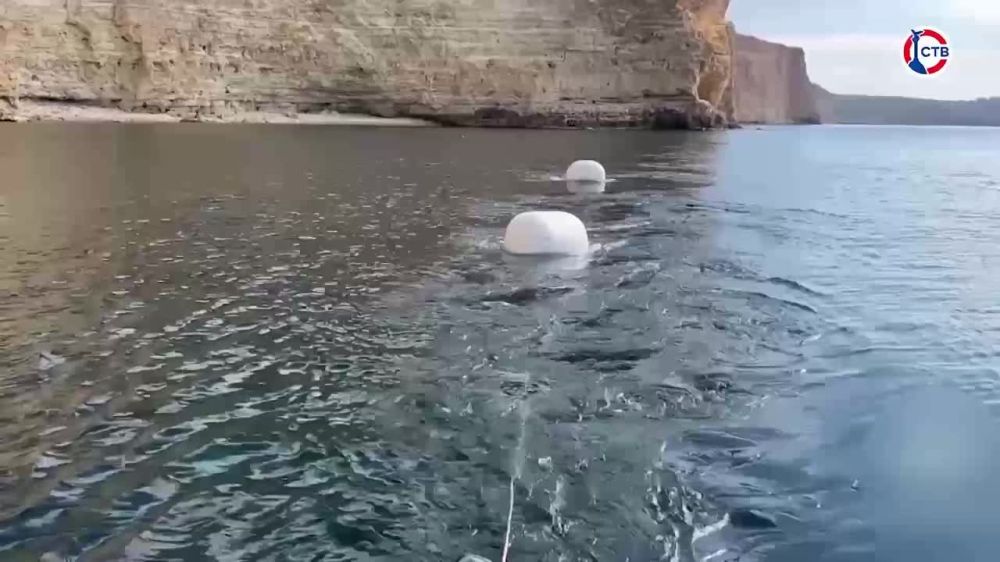 ���������� ������ ��� ������ �������� ���������������� ��������
