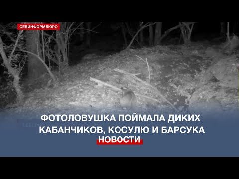 � ����������� ����������� ������� ����� ����������, ������ � �������