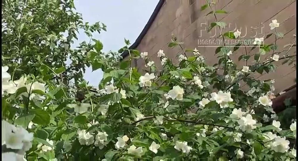 � ����������� ���������� ��������� ��������������� � ������� ������� ��������